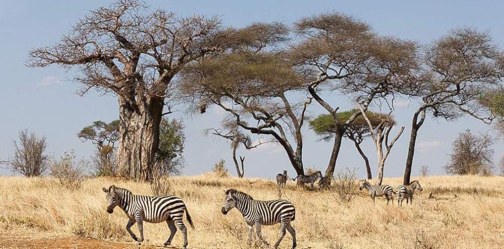 A 5-Day Crossing of Kenya and Tanzania Budget - Heritage Heartland Expeditions